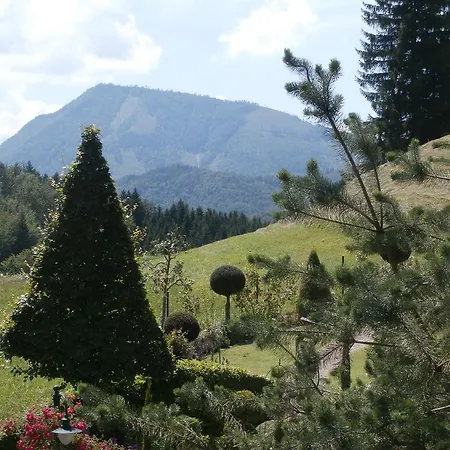 Haus Hollbacher Ebenau